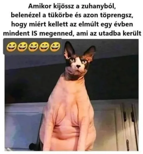 #VK1761375603