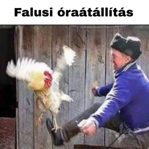 #VK1761463100