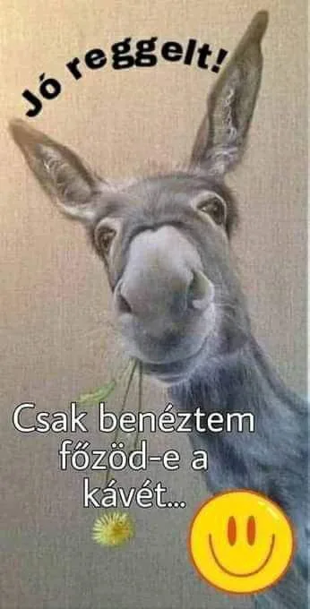 #VK1761463951