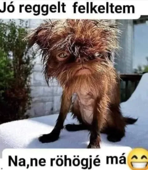 #VK1761545093