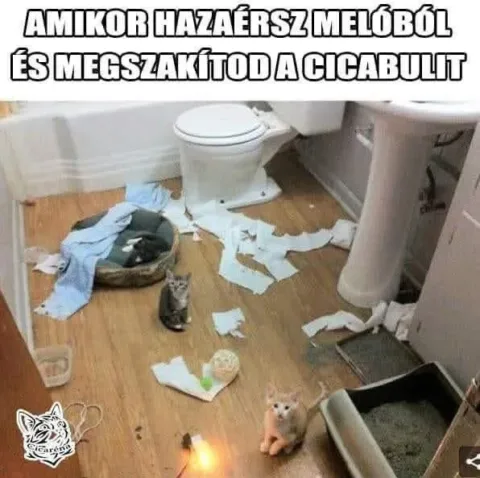 #VK1761593423 #VK1761593423