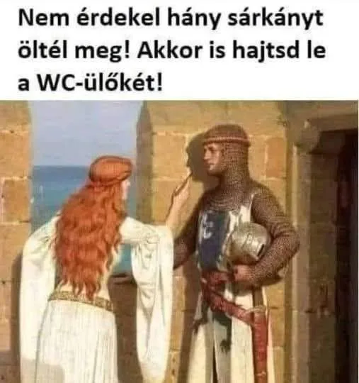 Nem érdekel hány sárkányt öltél meg akkor is hajtsd le a WC-ülőkét Nem érdekel hány sárkányt öltél meg akkor is hajtsd le a WC-ülőkét