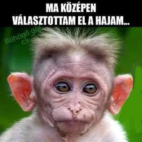 #VK1761805259 #VK1761805259