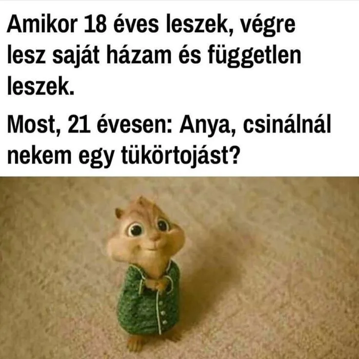 #VK1761829788 #VK1761829788