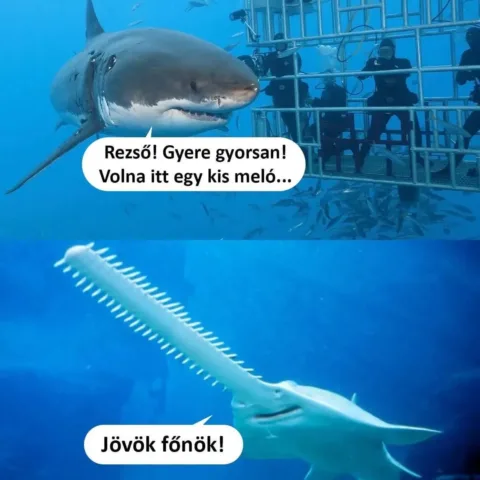 #VK1761843628