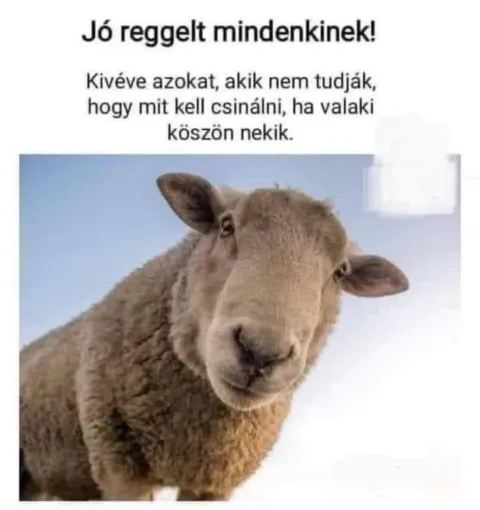 #VK1761895627