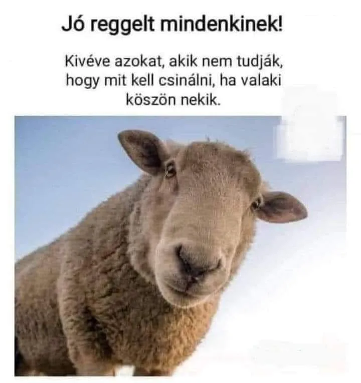 #VK1761895627 #VK1761895627