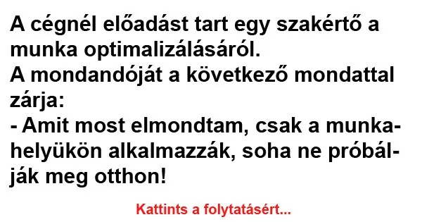 Vicc: A cégnél előadást tart egy szakértő a munka optimalizálásáról Vicc: A cégnél előadást tart egy szakértő a munka optimalizálásáról