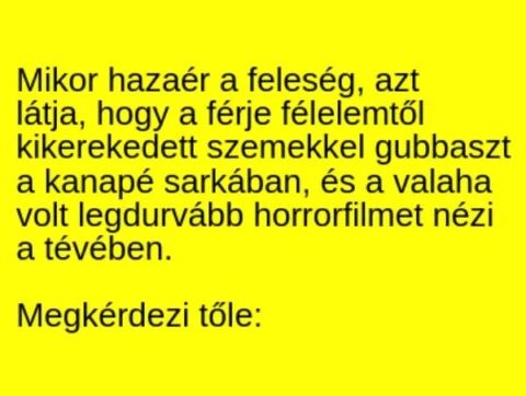 Vicc: A feleség arra ér haza, hogy a férje félelemtől kikerekedett szemekkel…