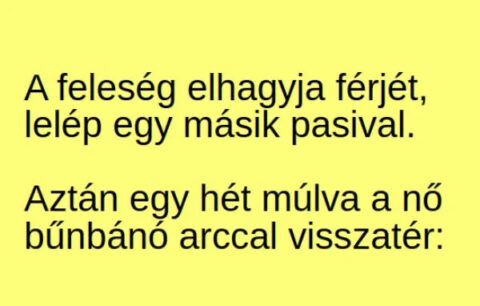 Vicc: A feleség elhagyja férjét, lelép egy másik –