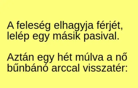 Vicc: A feleség elhagyja férjét, lelép egy másik - Vicc: A feleség elhagyja férjét, lelép egy másik –