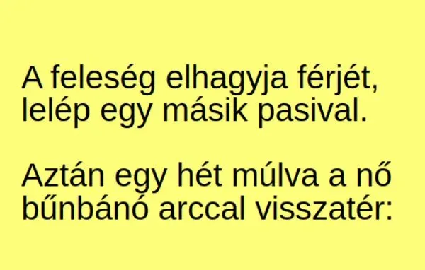 Vicc: A feleség elhagyja férjét, lelép egy másik - Vicc: A feleség elhagyja férjét, lelép egy másik –