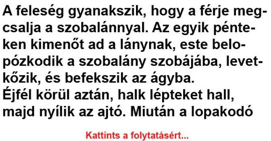 Vicc: A feleség gyanakszik, hogy a férje félrelép Vicc: A feleség gyanakszik, hogy a férje félrelép