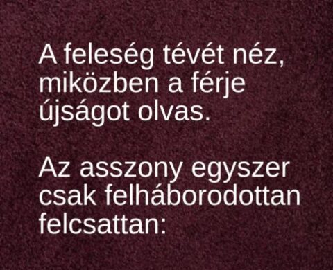 Vicc: A feleség tévénézés közben egyszer csak felháborodottan felcsattan: -…