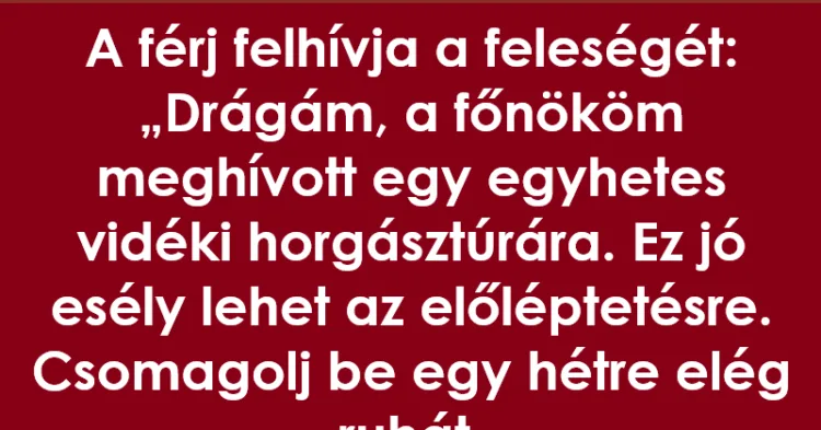 Vicc: A férj felhívja a feleségét
