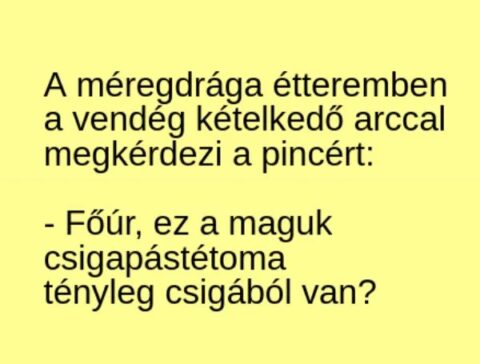 Vicc: A méregdrága étteremben a vendég kételkedő arccal megkérdezi a pincért: -…