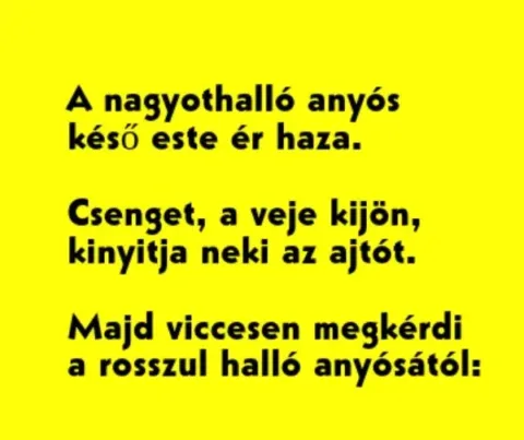Vicc: A nagyothalló anyós késő este ér haza –