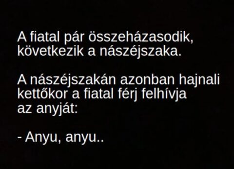 Vicc: A nászéjszakán hajnali kettőkor a fiatal férj felhívja az anyját: – TUDNOD…