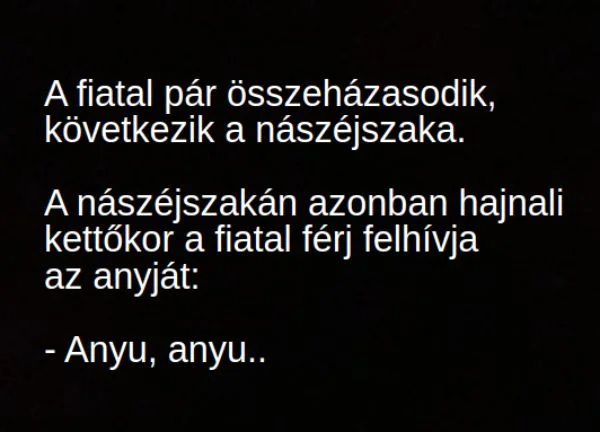 Vicc: A nászéjszakán hajnali kettőkor a fiatal férj felhívja az Vicc: A nászéjszakán hajnali kettőkor a fiatal férj felhívja az anyját: