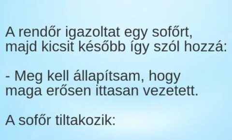 Vicc: A rendőr igazoltat egy sofőrt –