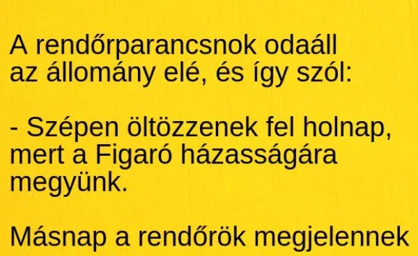 Vicc: A rendőrparancsnok odaáll az állomány elé, és így szól: Vicc: A rendőrparancsnok odaáll az állomány elé, és így szól: –