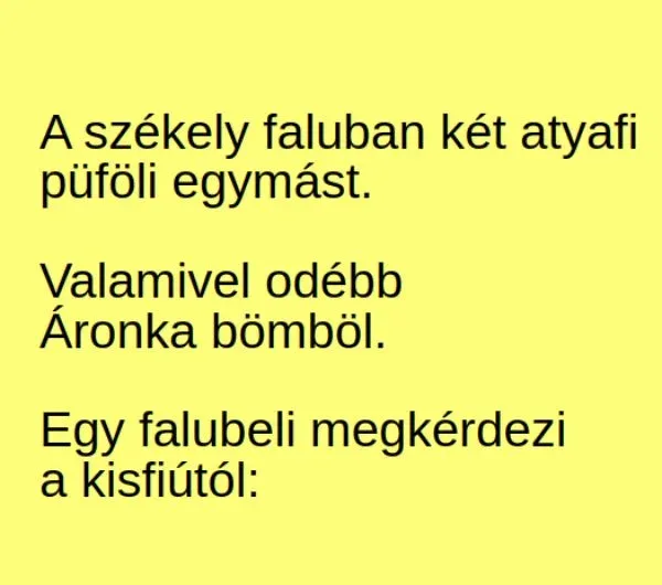 Vicc: A székely faluban két atyafi püföli egymást - Vicc: A székely faluban két atyafi püföli egymást –