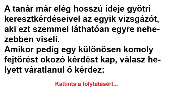 Vicc: A tanár már elég hosszú ideje gyötri keresztkérdéseivel