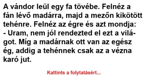 Vicc: A vándor leül egy fa tövébe