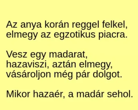 Vicc: Az anya korán reggel felkel, elmegy az egzotikus piacra –