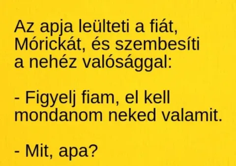 Vicc: Az apja leülteti Mórickát, és szembesíti a nehéz valósággal: –