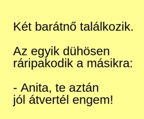 Vicc: Az egyik barátnő dühösen ráripakodik a másikra: –