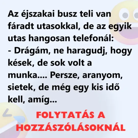 Vicc: Az éjszakai busz teli van fáradt utasokkal Vicc: Az éjszakai busz teli van fáradt utasokkal