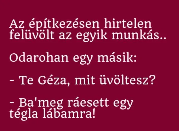 Vicc: Az építkezésen hirtelen felüvölt az egyik munkás.. - Vicc: Az építkezésen hirtelen felüvölt az egyik munkás.. –