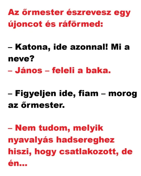 Vicc: Az őrmester észrevesz egy újoncot és ráförmed