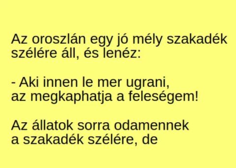 Vicc: Az oroszlán egy jó mély szakadék szélére áll, és lenéz: –