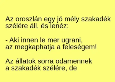 Vicc: Az oroszlán egy jó mély szakadék szélére áll, és Vicc: Az oroszlán egy jó mély szakadék szélére áll, és lenéz: –