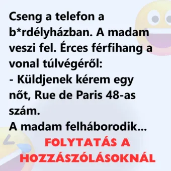 Vicc: Cseng a telefon