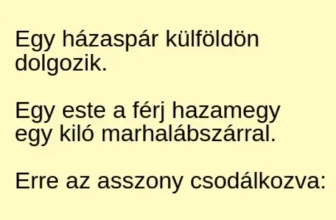 Vicc: Egy házaspár külföldön dolgozik. –
