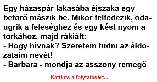 Vicc: Egy házaspár lakásába éjszaka egy betörő mászik be Vicc: Egy házaspár lakásába éjszaka egy betörő mászik be