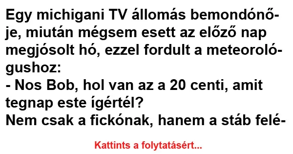 Vicc: Egy michigani TV állomás bemondónője Vicc: Egy michigani TV állomás bemondónője