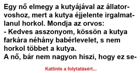 Vicc: Egy nő elmegy a kutyájával az állatorvoshoz Vicc: Egy nő elmegy a kutyájával az állatorvoshoz