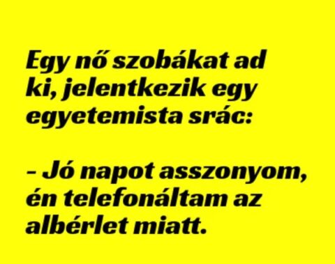 Vicc: Egy nő szobákat ad ki, jelentkezik egy egyetemista srác –