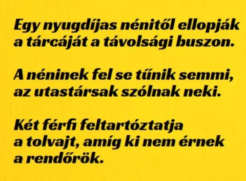 Vicc: Egy nyugdíjas nénitől ellopják a tárcáját a távolsági buszon.