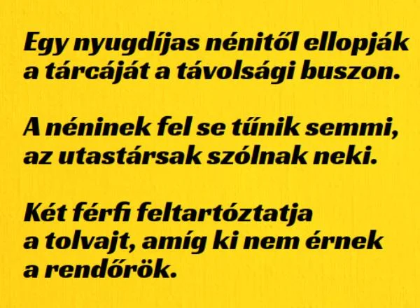 Vicc: Egy nyugdíjas nénitől ellopják a tárcáját a távolsági buszon. Vicc: Egy nyugdíjas nénitől ellopják a tárcáját a távolsági buszon.