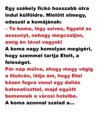 Vicc: Egy székely fickó hosszabb útra indul külföldre.