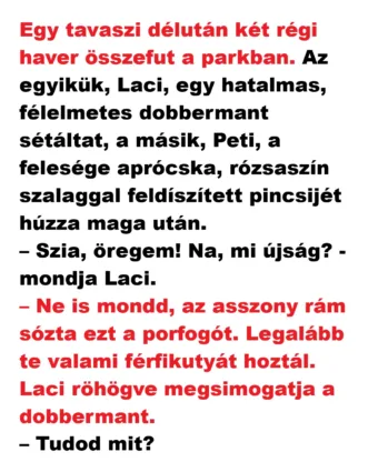 Vicc: Egy tavaszi délután két régi haver összefut a parkban.