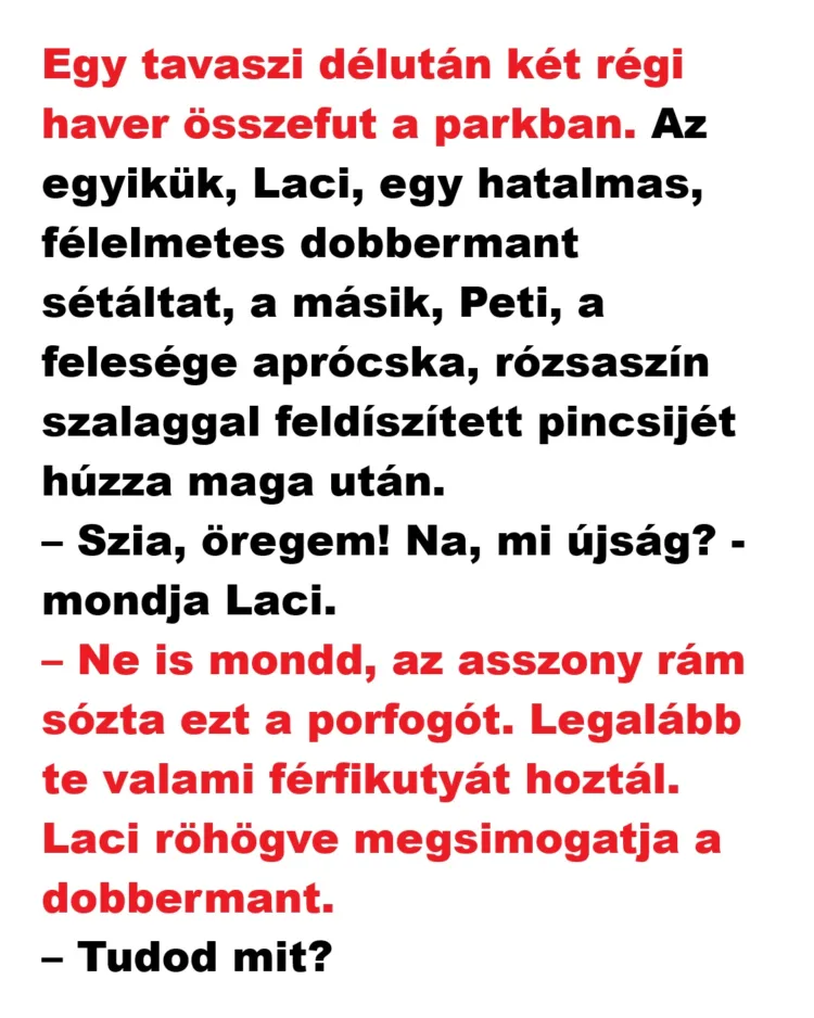 Vicc: Egy tavaszi délután két régi haver összefut a parkban. Vicc: Egy tavaszi délután két régi haver összefut a parkban.