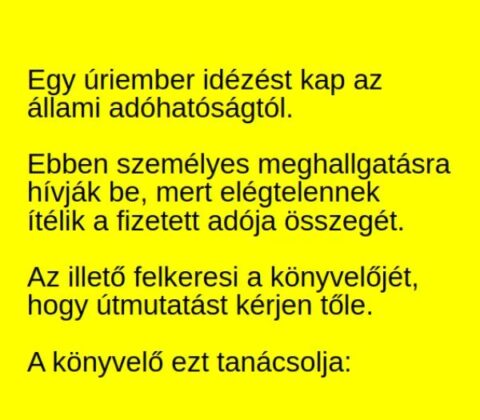 Vicc: Egy úriember idézést kap az adóhatóságtól –