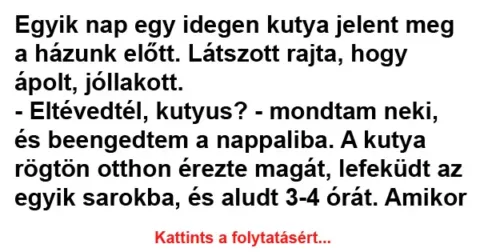 Vicc: Egyik nap egy idegen kutya jelent meg a házunk előtt