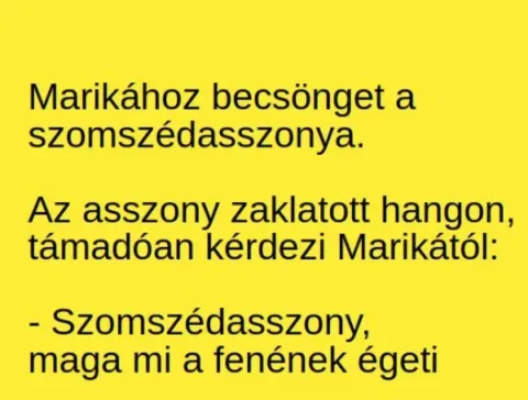 Vicc: Egyik szomszédasszony zaklatott hangon nekitámad a másiknak –